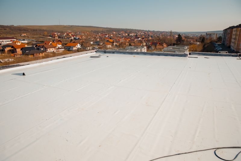 Products For Flat Roof Leak Repairs in use